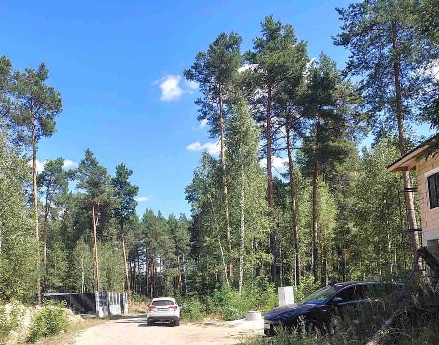 Участок в сосновом лесу в элитном коттеджном пригороде Киева (почти Буковель)