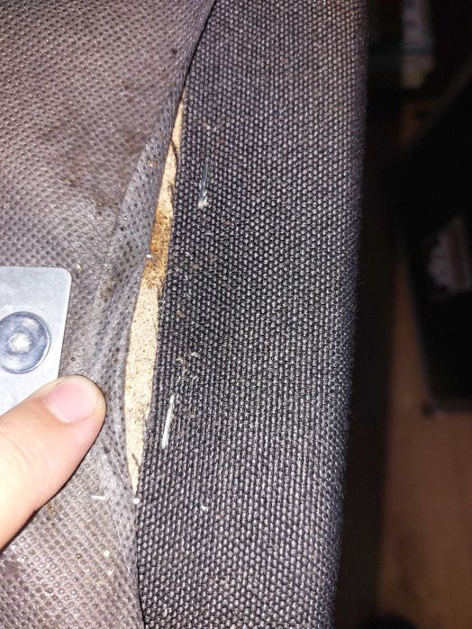 Dezynsekcja; Dezynfekcja; Deratyzacja likwidacja gniazd os i szerszeni