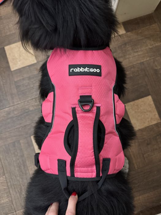 Шлея для великих порід