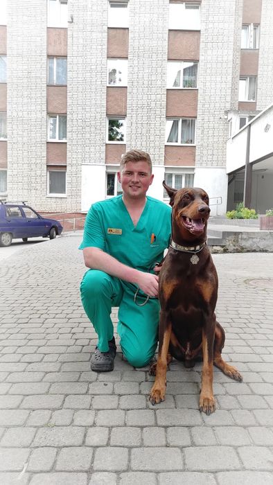 Виклик ветеринара до дому