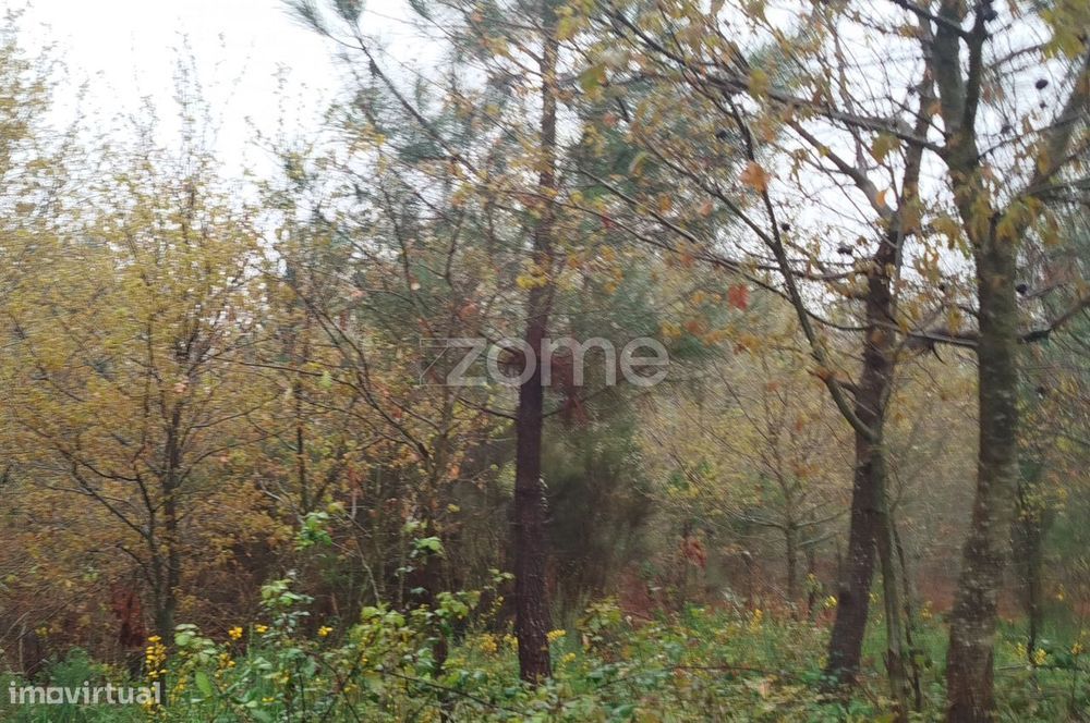 Terreno Urbanizável – O Local Perfeito para Construir a Sua Moradi...