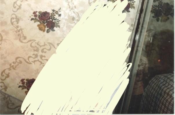 Rolo papel de parede de qualidade