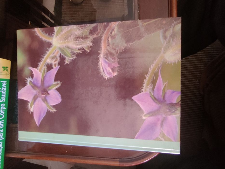 Coleção de 8 Livros "As Plantas Nossas Amigas"
