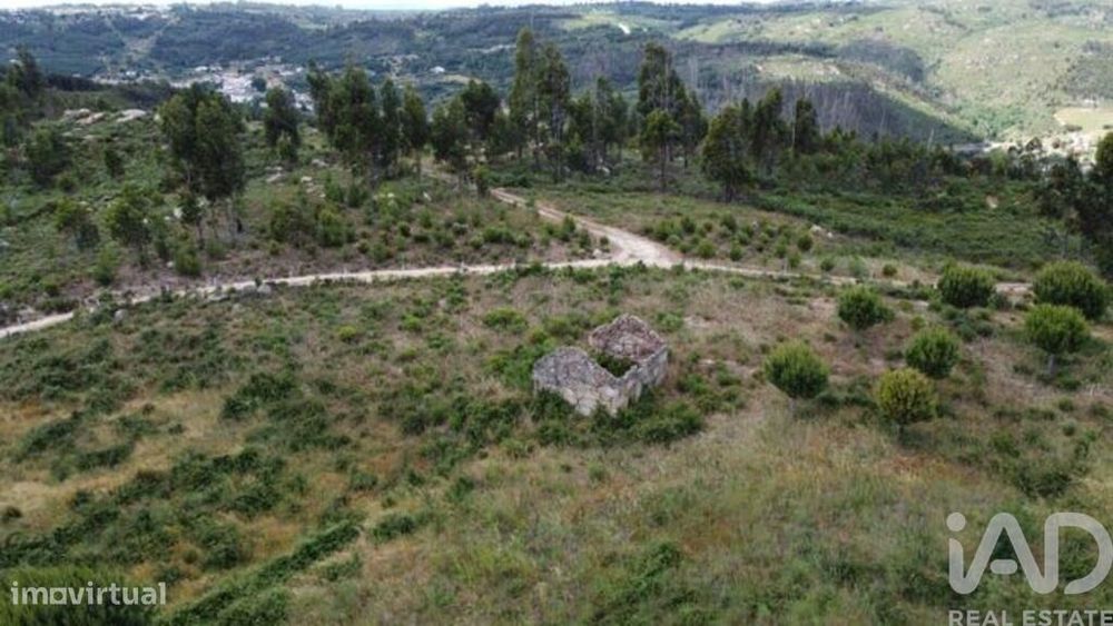 Terreno para construção em Seixo da Beira de 48000,00 m2