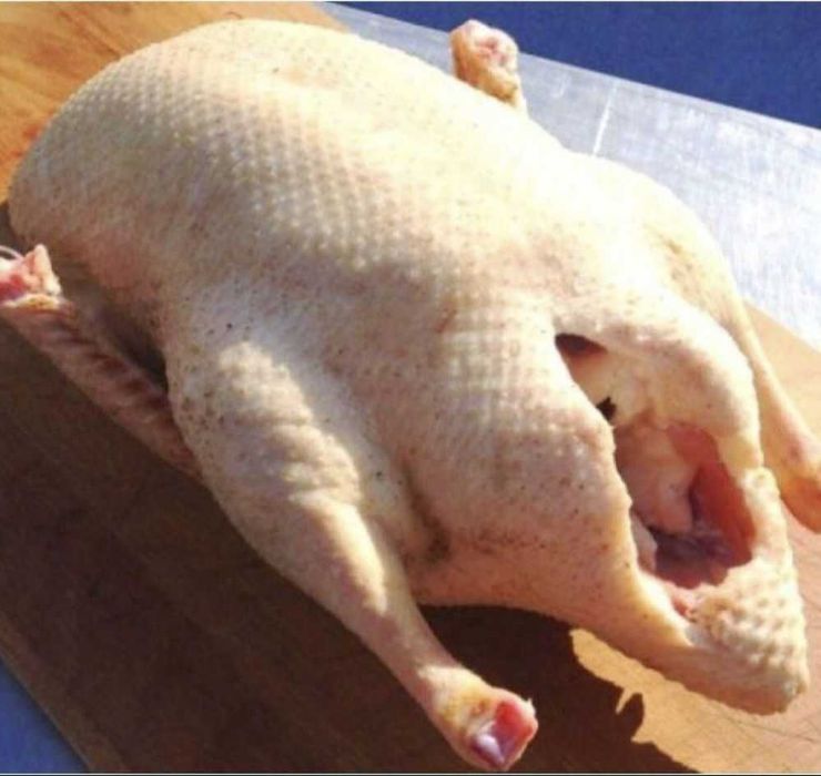 Продам тушки качок мулард