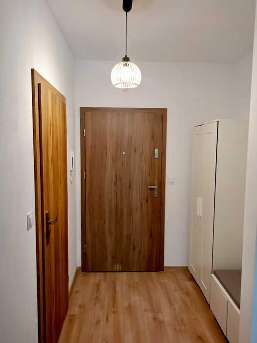 Mieszkanie do wynajęcia