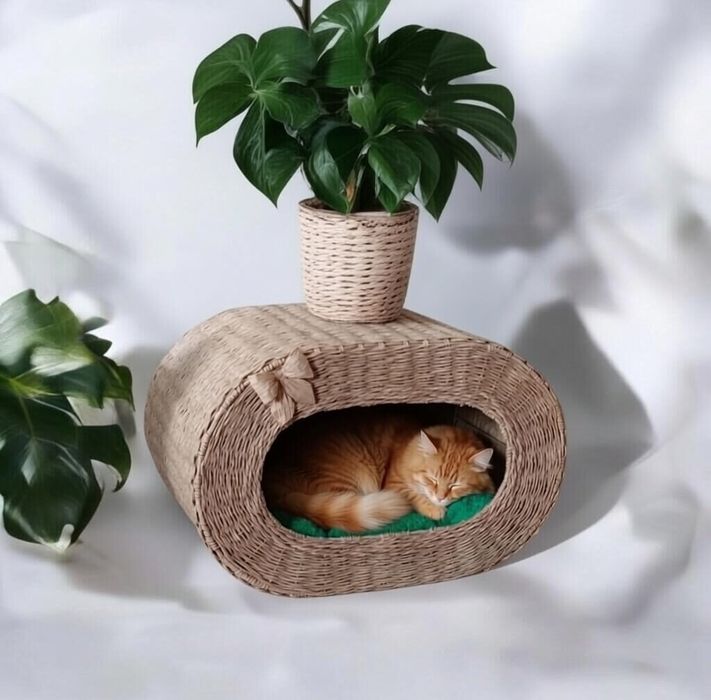 Будиночок- кокон