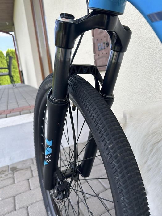 Kands colt 2XT 2024