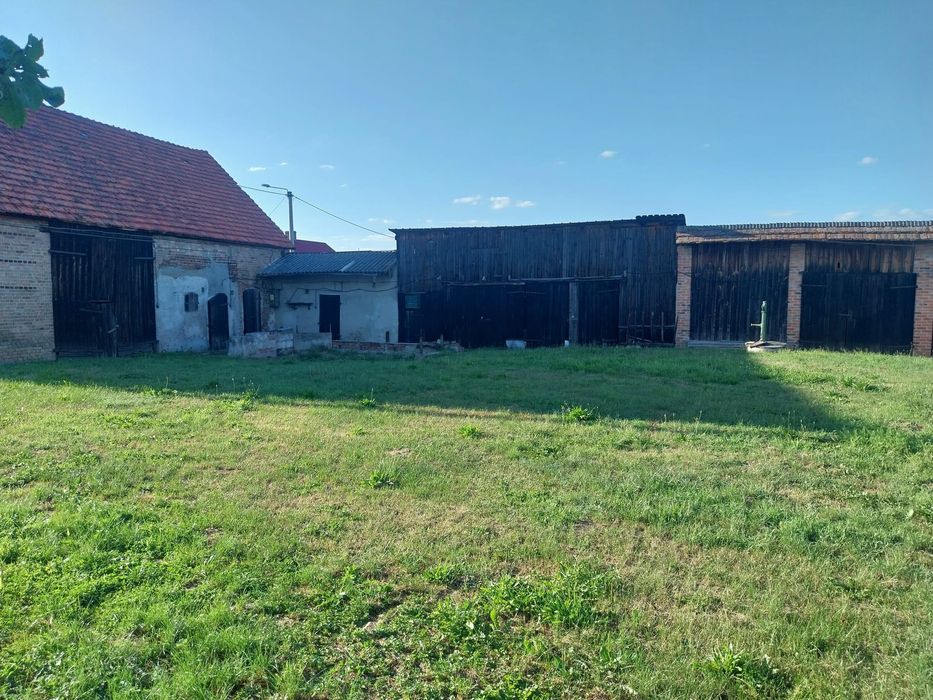 Hala Magazyn Budynki gospodarcze + 20 arów działki do wynajęcia Prusice - Widok 2
