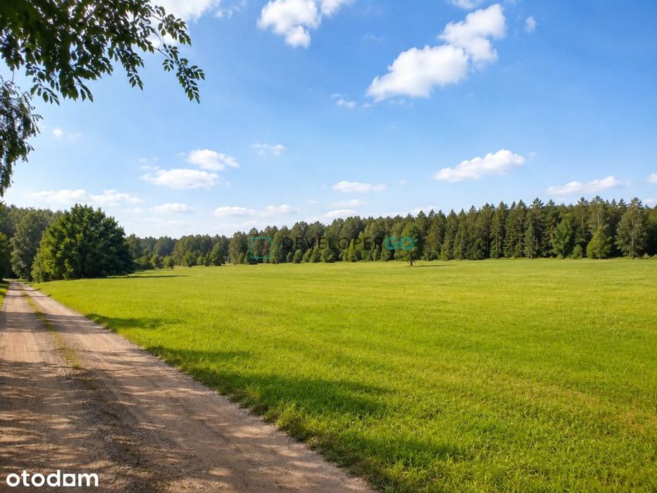900 m2 budowlana, widok na las
