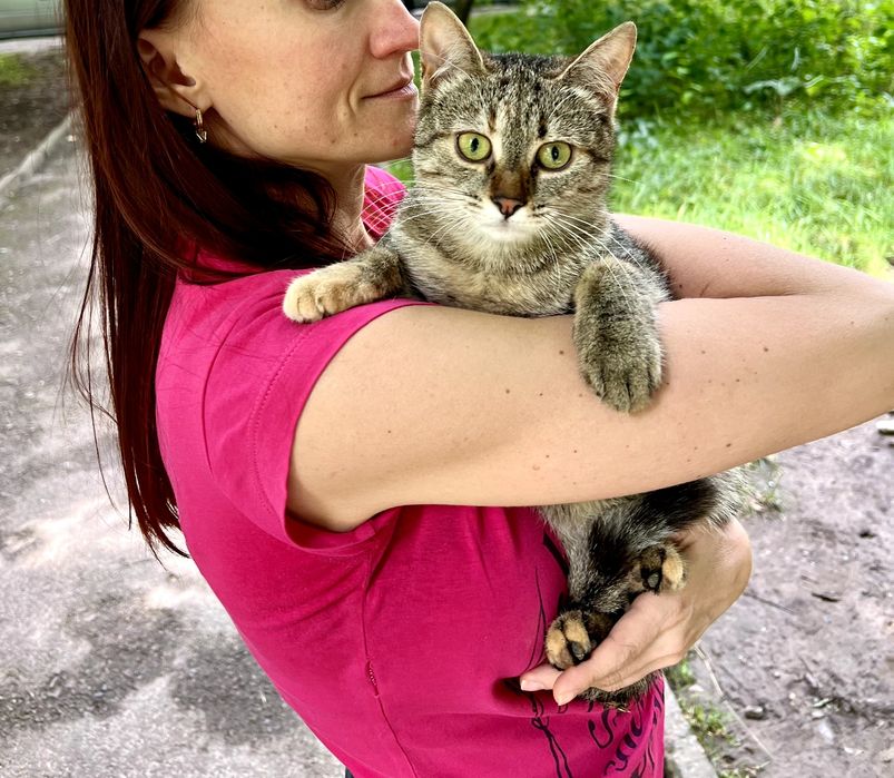 Стерилізовані киці