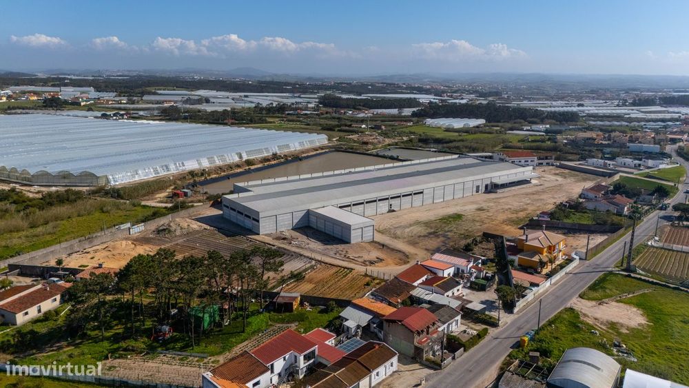 Oportunidade Única: Propriedade Versátil de 26.200 m² em A-dos-Cunhado