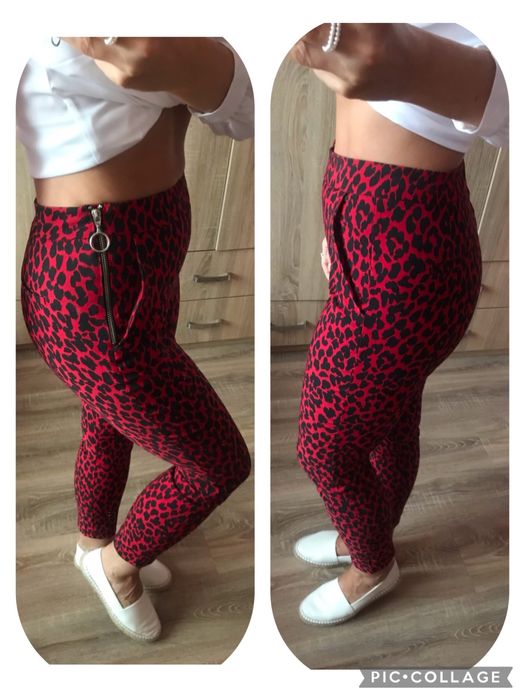 Zara spodnie w panterkę legginsy z wysokim stanem panterka S