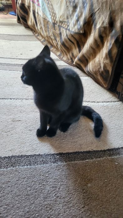 Девочка.4 - 4.5 месяца