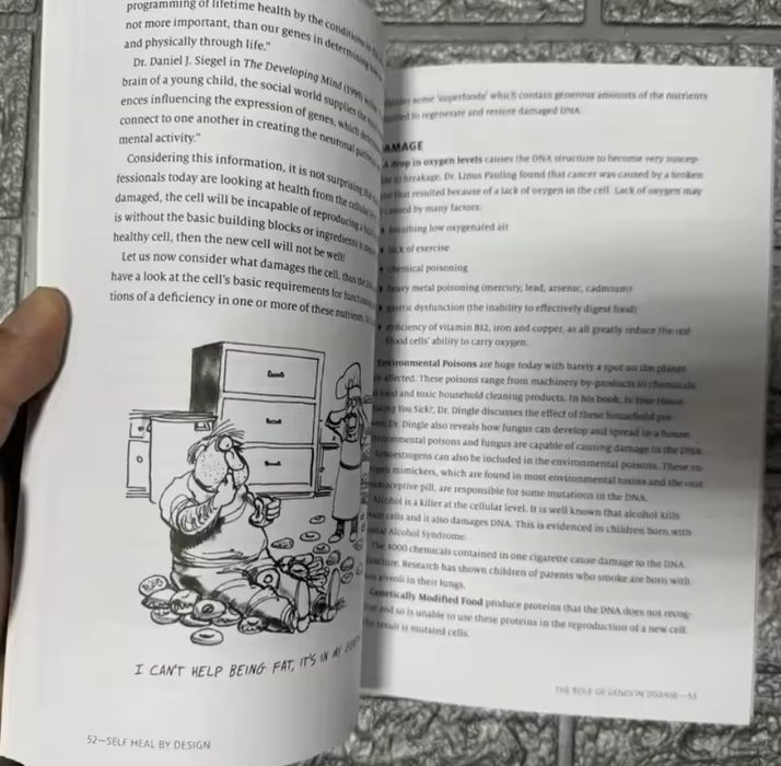 2 livros da Barbara O’Neill - self heal e sustain me ( portes gratis)