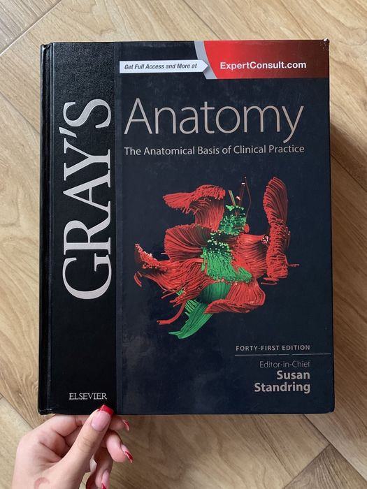 Книга Gray's Anatomy The anatomical basis of clinical Practice 41/e 20