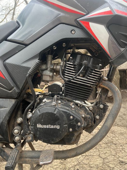 Продам мотоцикл Musstang fortune 200