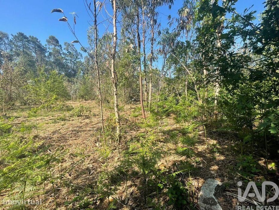 Terreno em Vila de Punhe de 4388,00 m2