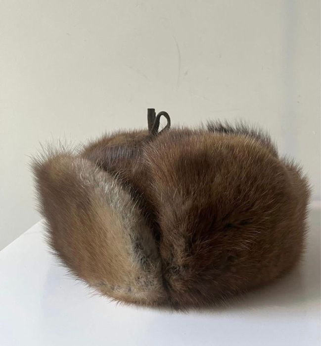Piękna uszatka z norki