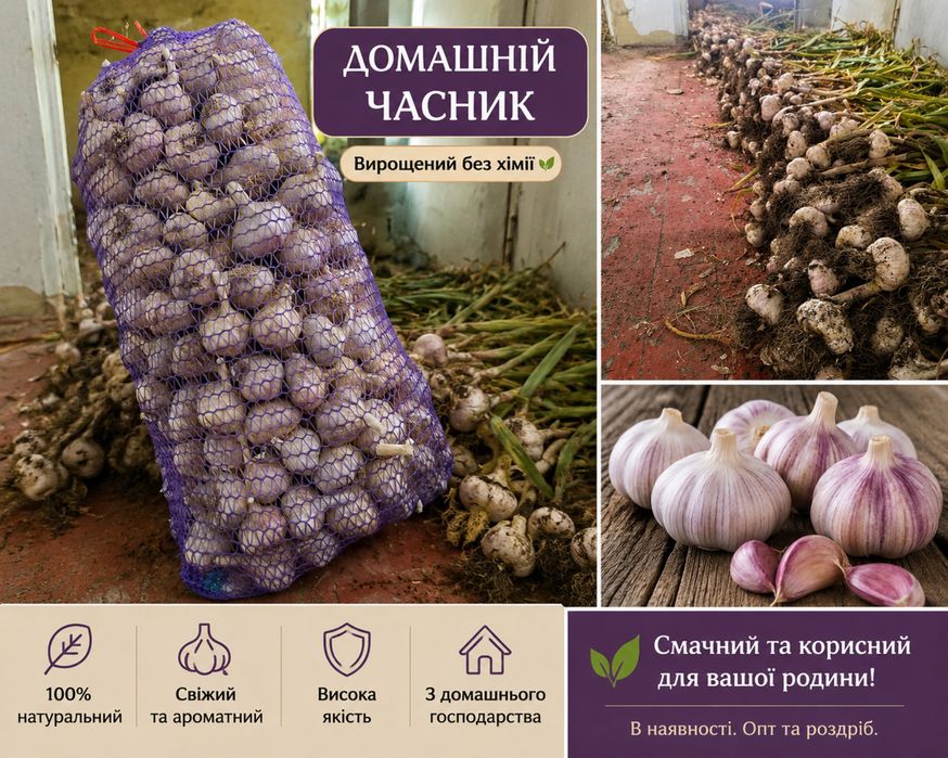 Продам часник на споживання та посадковий !