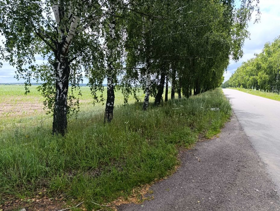 Продам фасадну  земельну ділянку 6,53га  Макарівський район  , село Ясногородка