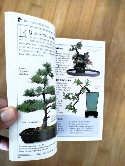 Bonsai Aprenda tudo em poucas linhas - Harry Tomlinson