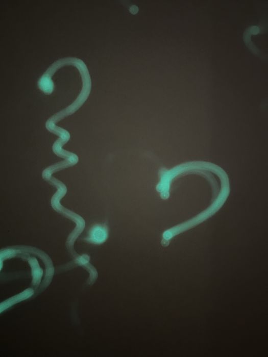 Малюй світлом  планшет дошка