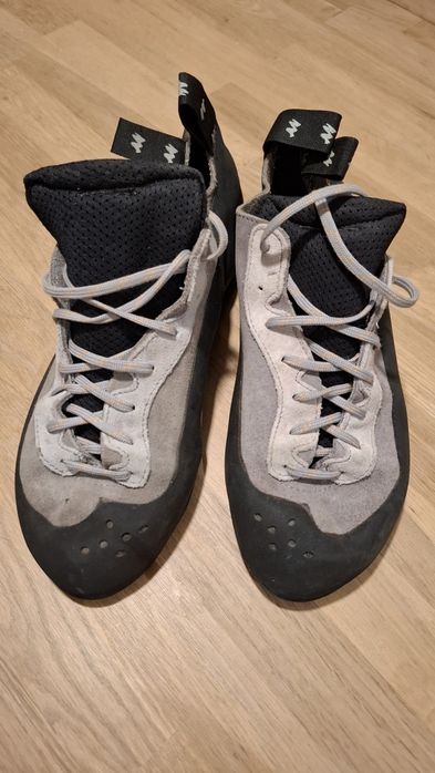 Pés de gato número 42