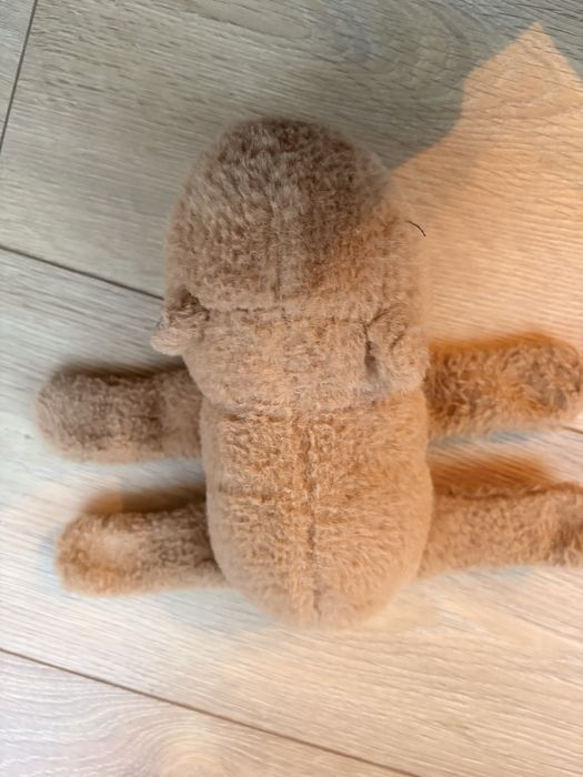 Pluszak kapibara na rękę