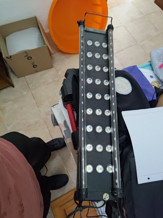 Aquários água salgada