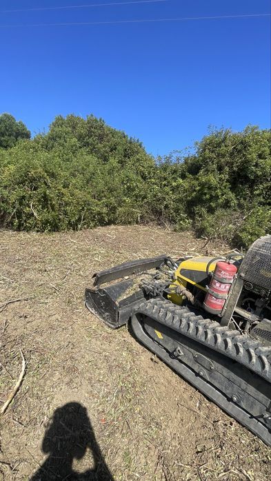 Limpeza de terrenos agricolas e florestais
