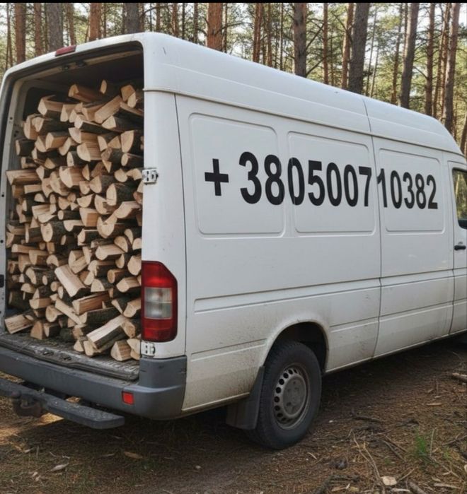 Дрова колоті твердих порід