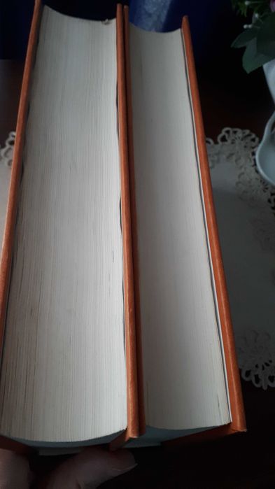 reprint  starożytności polskie t  I/II   rarytas
