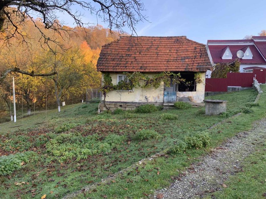 Продається земельна ділянка у мальовничому місці у лісі