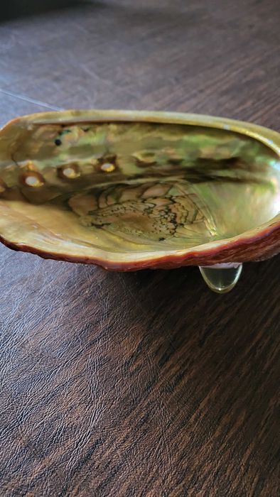 Conchas madre perola para servir a mesa