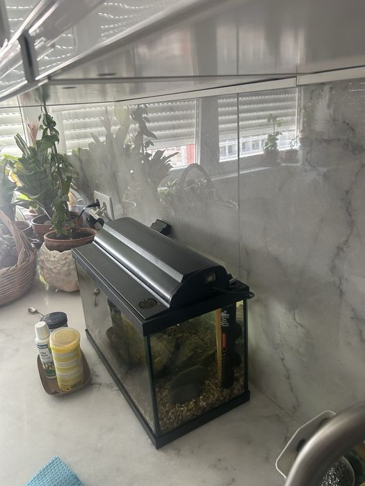 Aquario com todos os  acessorios para peixes tropicais