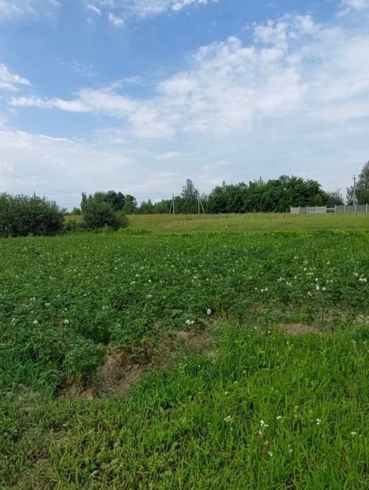Продам дачу в селі Кіїнка