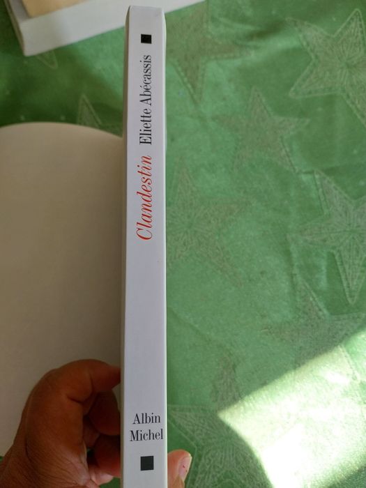 Clandestin. Portes incluídos