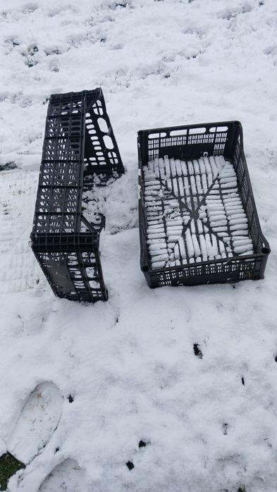 Skrzynki na warzywa