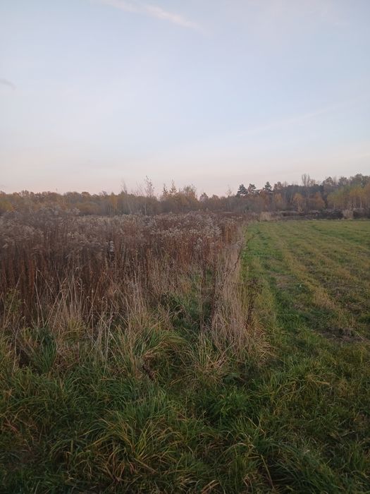 Продаж земельної ділянки в с. Холодновідка