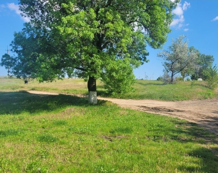 1 гектар в селе Красносёлка с отличным расположением