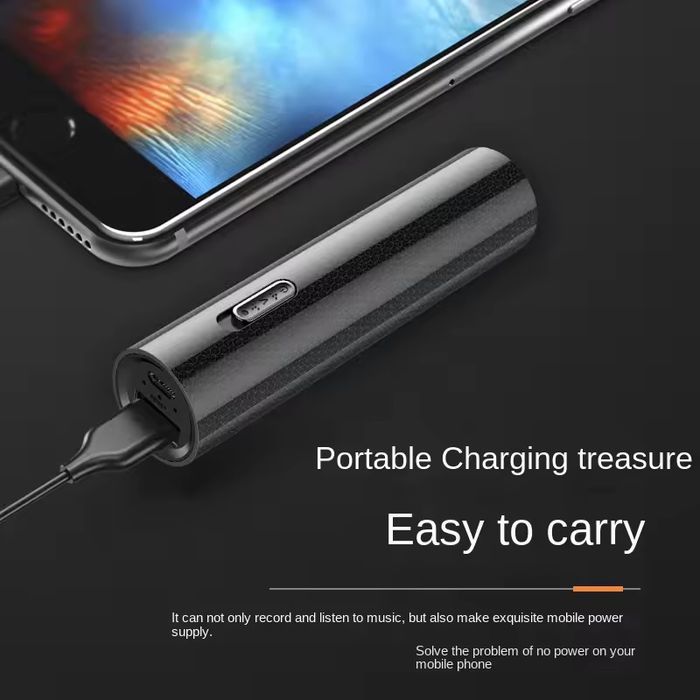 Диктофон на 500 годин