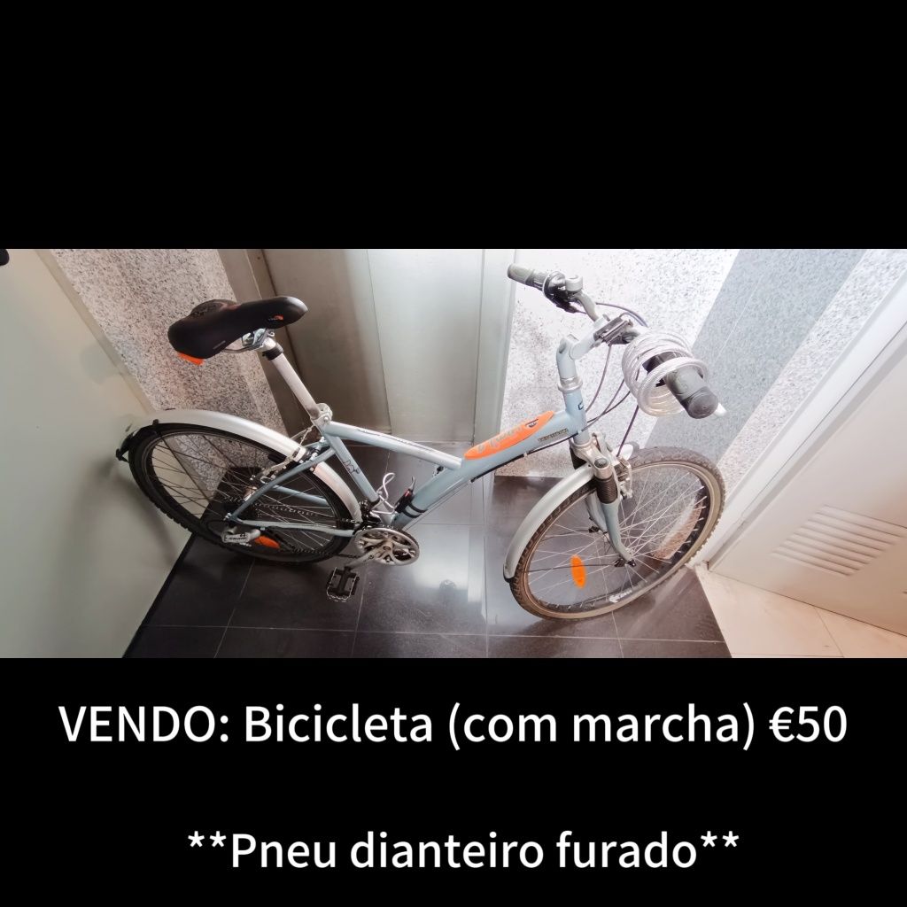 Vendo Bicicleta - Montijo E Afonsoeiro • OLX Portugal