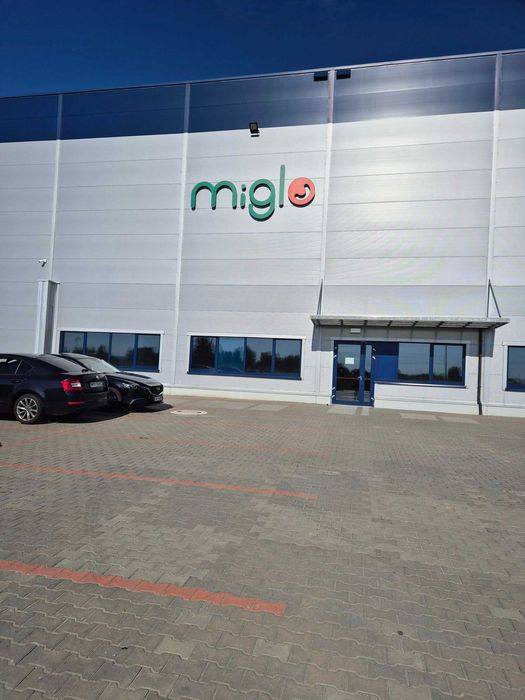 Palety z Zabawkami-Zwroty Konsumenckie-Znane Marki-LEGO/MATTEL/VTech