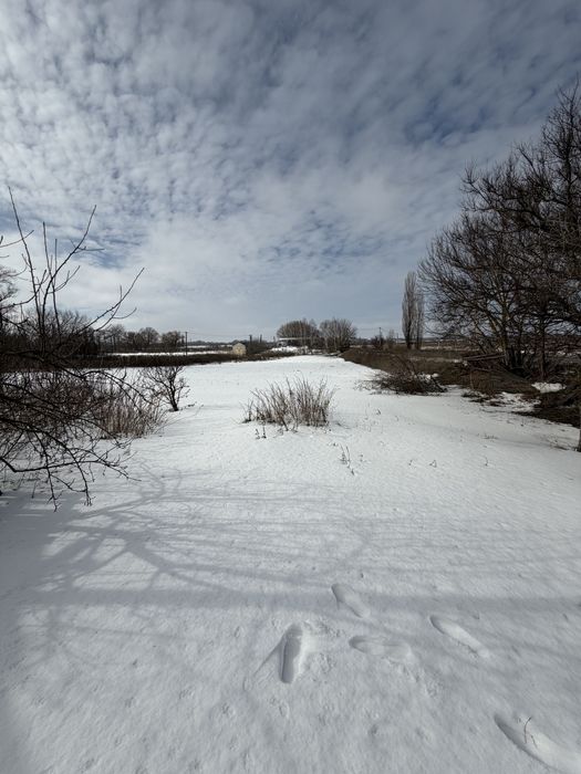 Баришівський р-н., Київська обл., с. Перемога, 35 соток