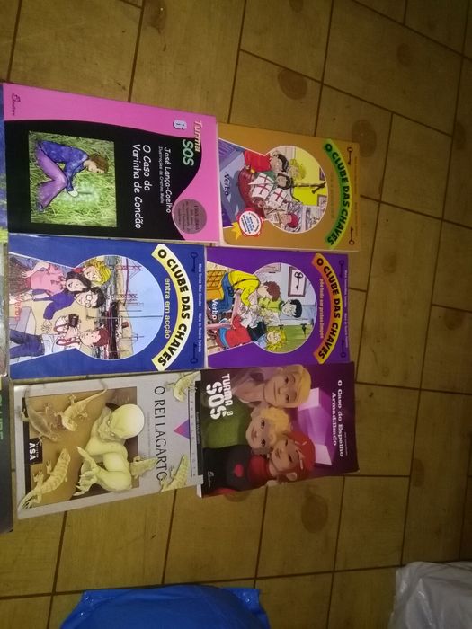 Livros Infanto-juvenis Variados e DVD Cinco e Sete