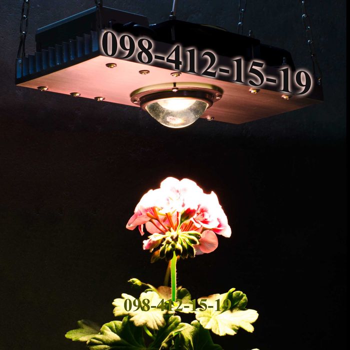 100% CREE USA фитолампа фито лампа для растений гроубокс теплица LED