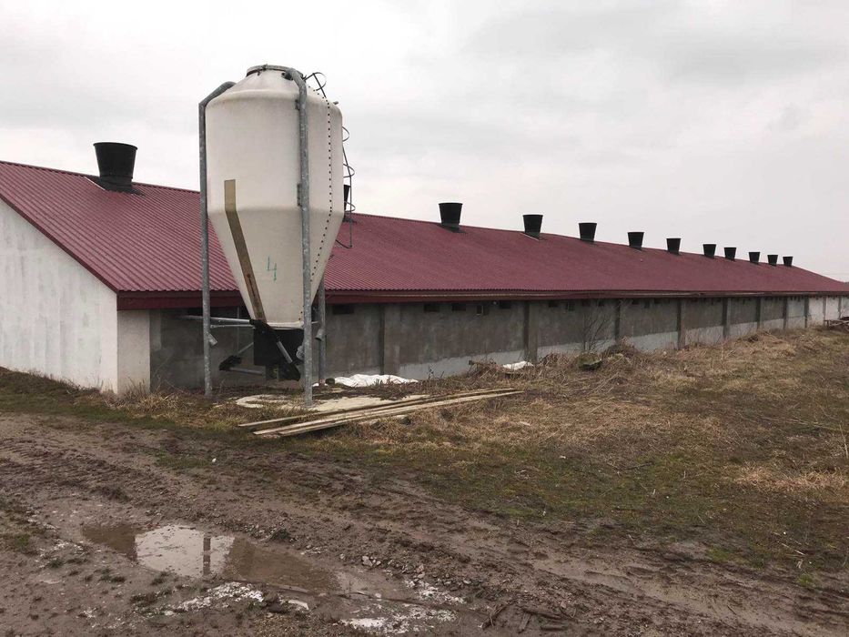 Продам готовий бізнес, оренда: Виробництво макухи, зерносушка, ферма