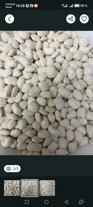Фасоль крупная на обмен