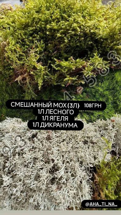 кокосовый грунт/субстрат для улиток,рептилий,растений